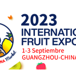 (555 × 660 px) (700 × 400 px) (2)