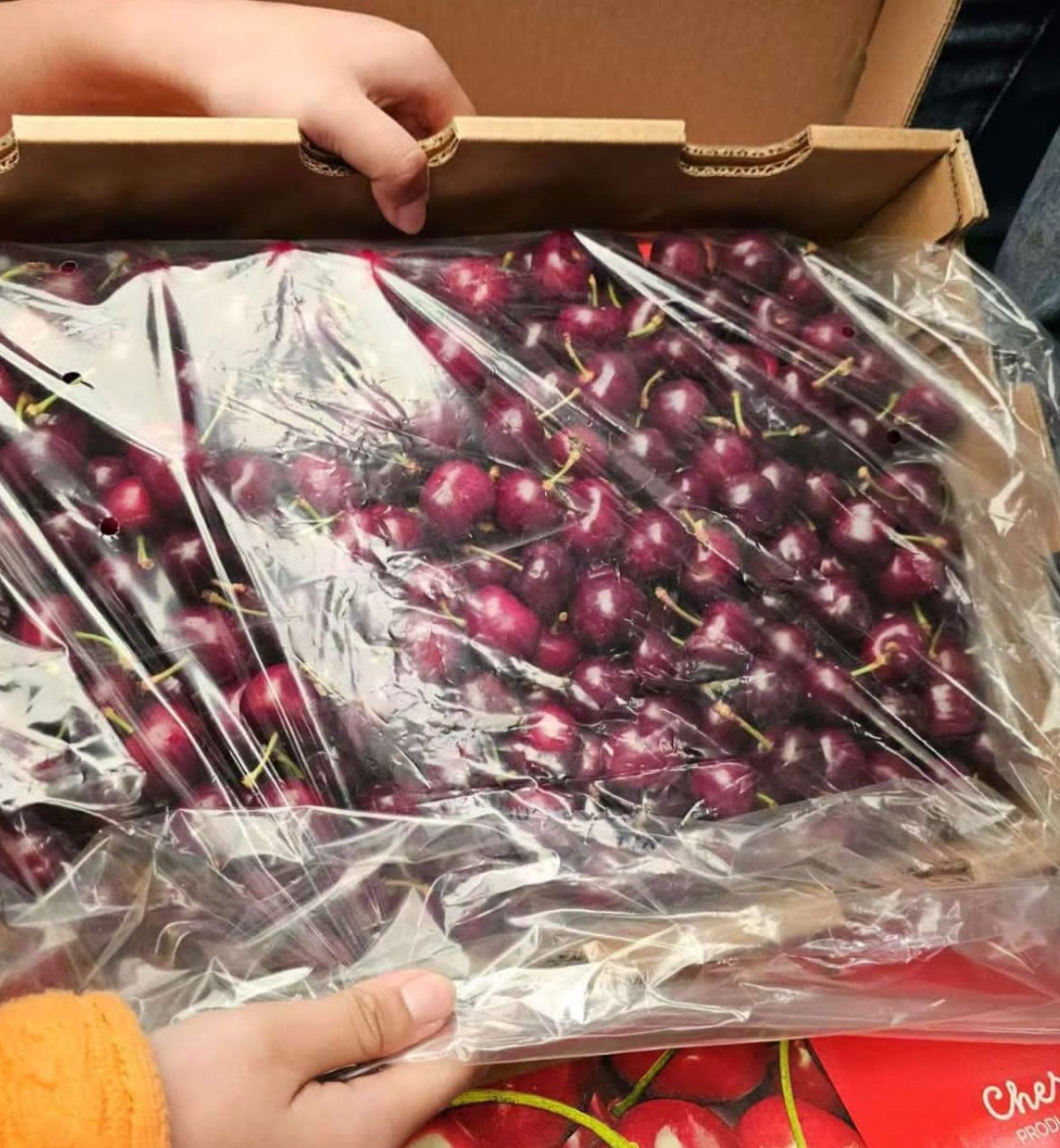 Cherries from Chile arrived in China