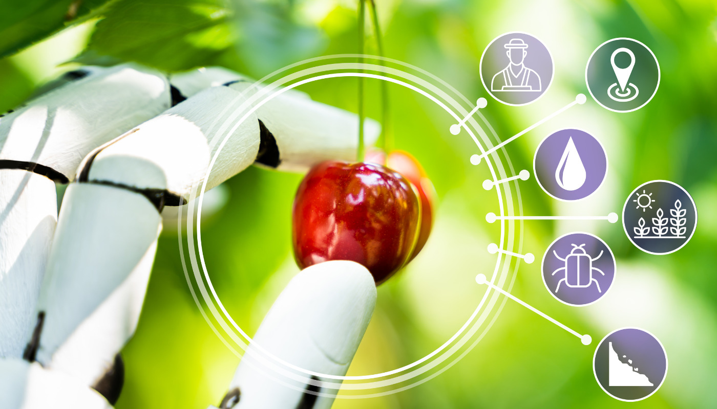 Robotics and technology in cherry selection: an imminent step