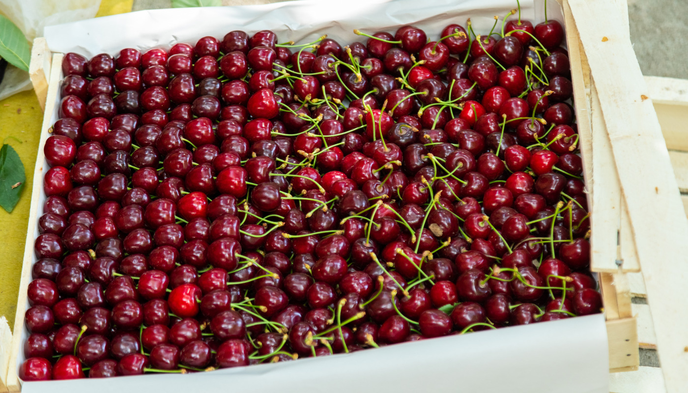 Cherries export by air transport