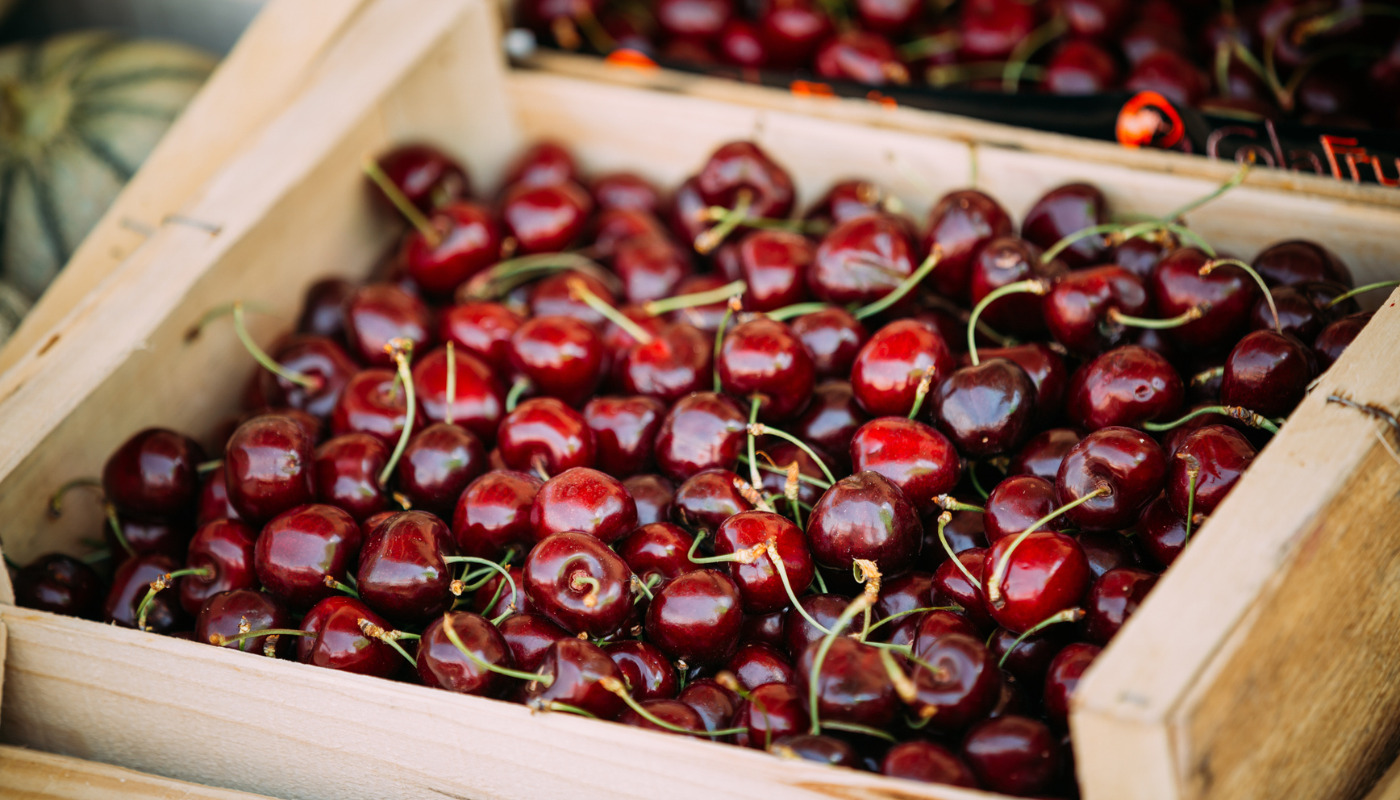 Cherry exports Chile