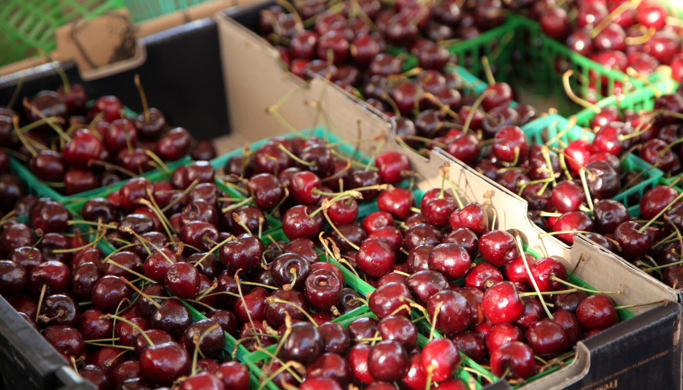 Kazakhstan will send cherries to China
